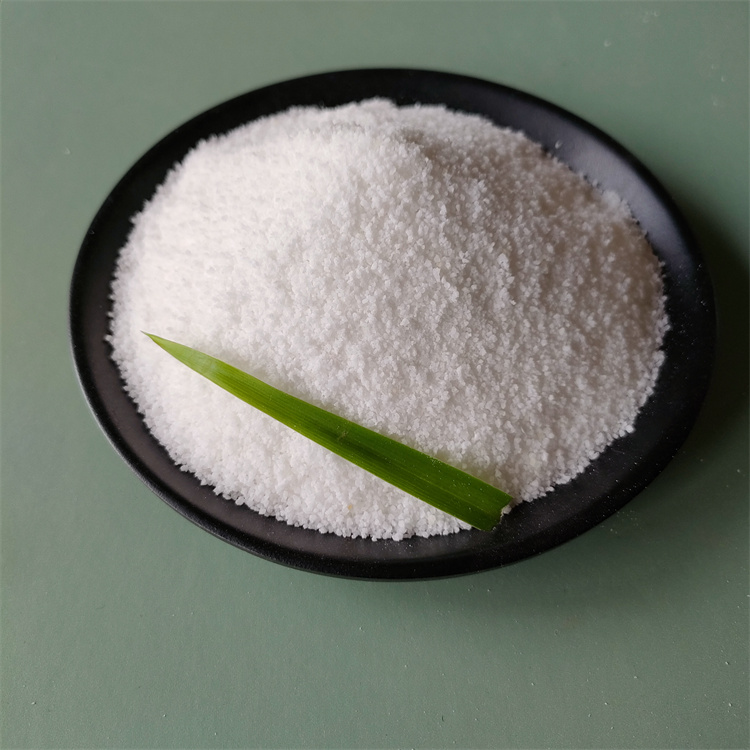 聚丙烯酰胺 聚丙烯酰胺