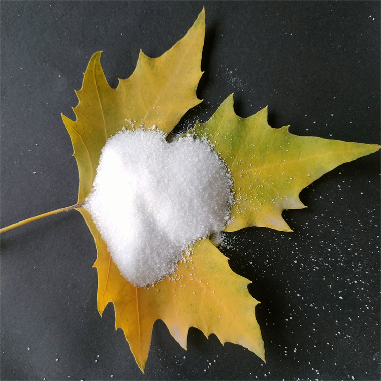 聚丙烯酰胺 聚丙烯酰胺