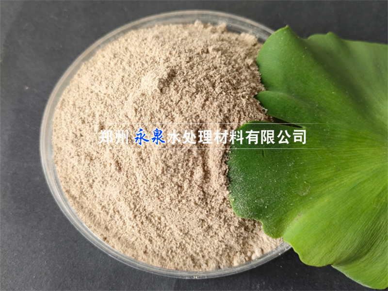 ����Ͷ����